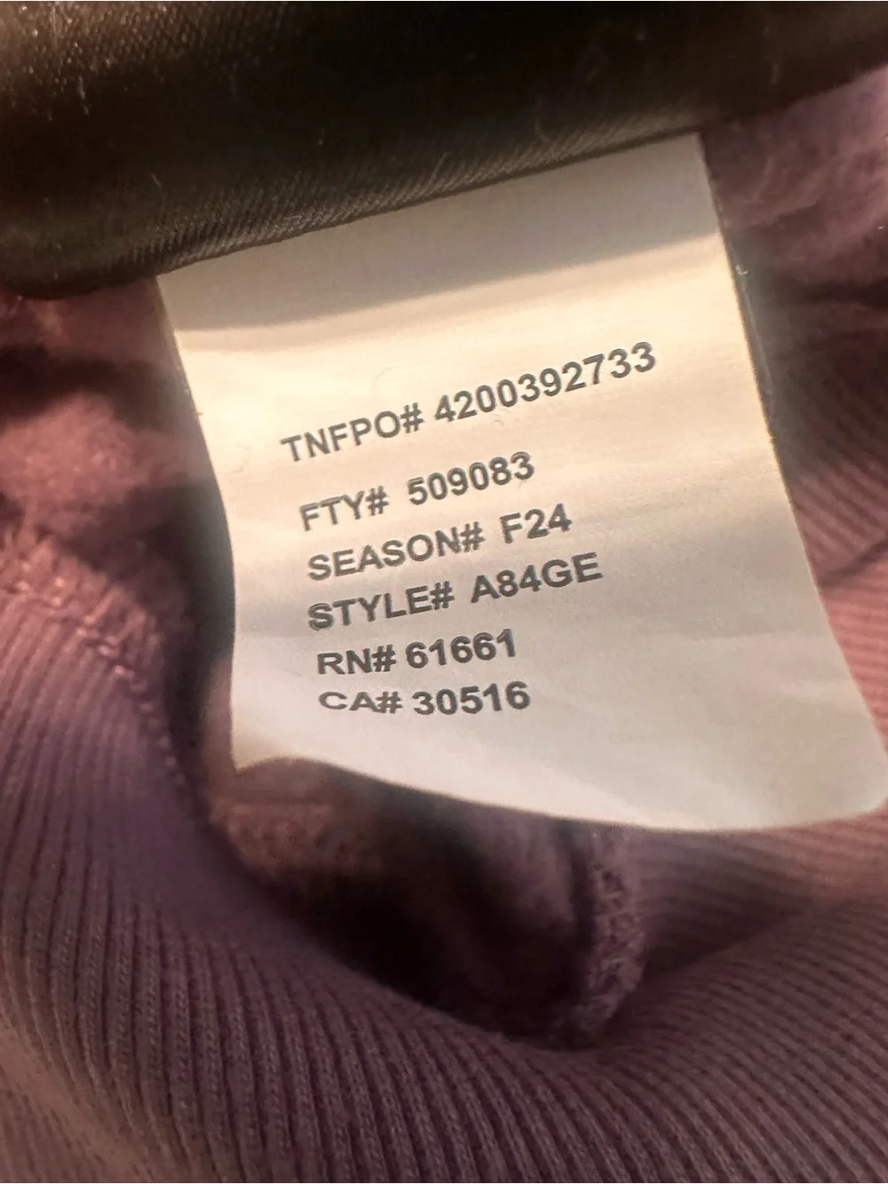 The North Face Men's Circular Design Purple Pullover Hoodie Size Large